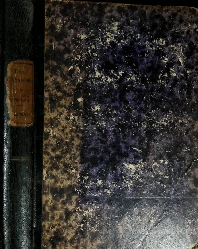 The Woman Hunters - Jules Lermina - 1881 - book