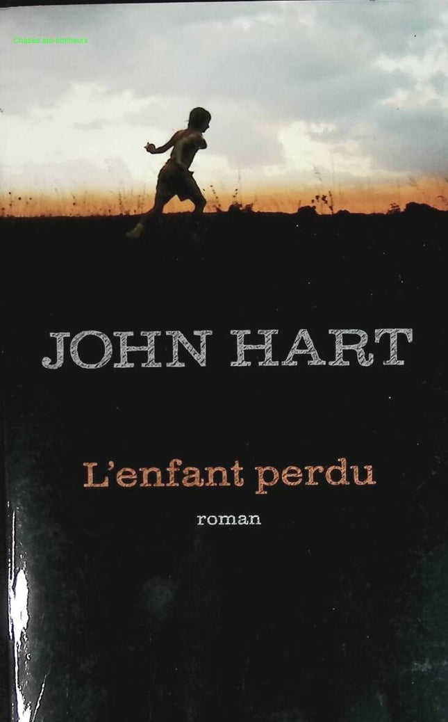 L'Enfant Perdu - John Hart - livre
