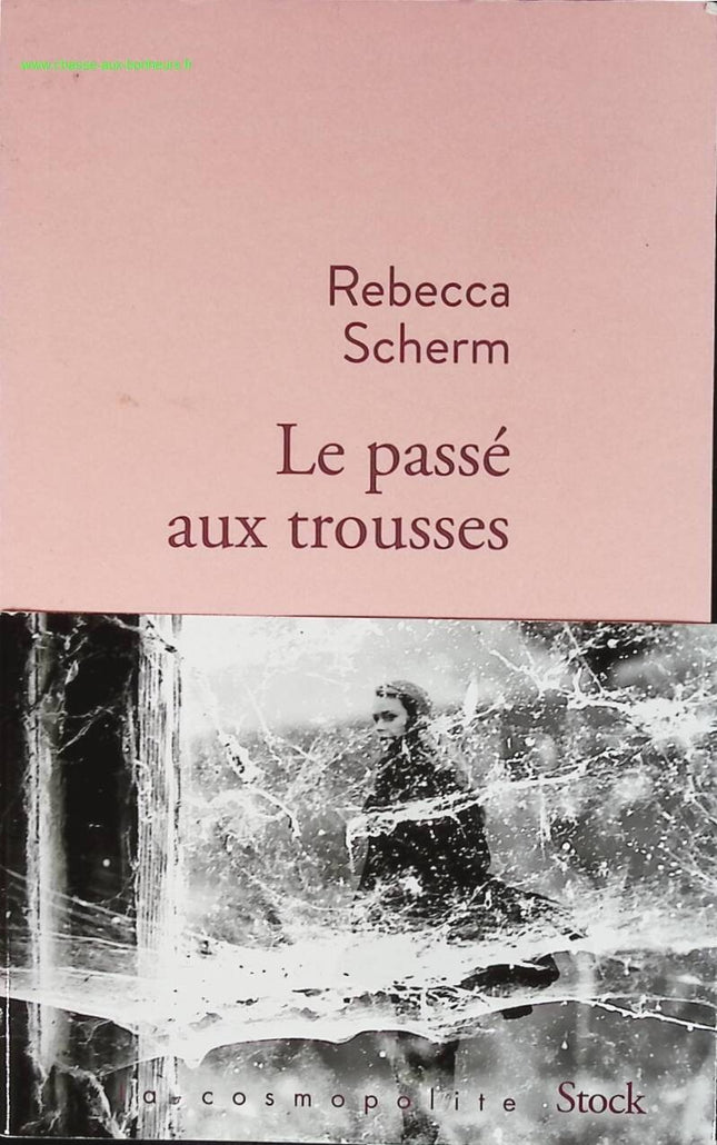Der Vergangenheit auf der Spur - Rebecca Scherm - Buch
