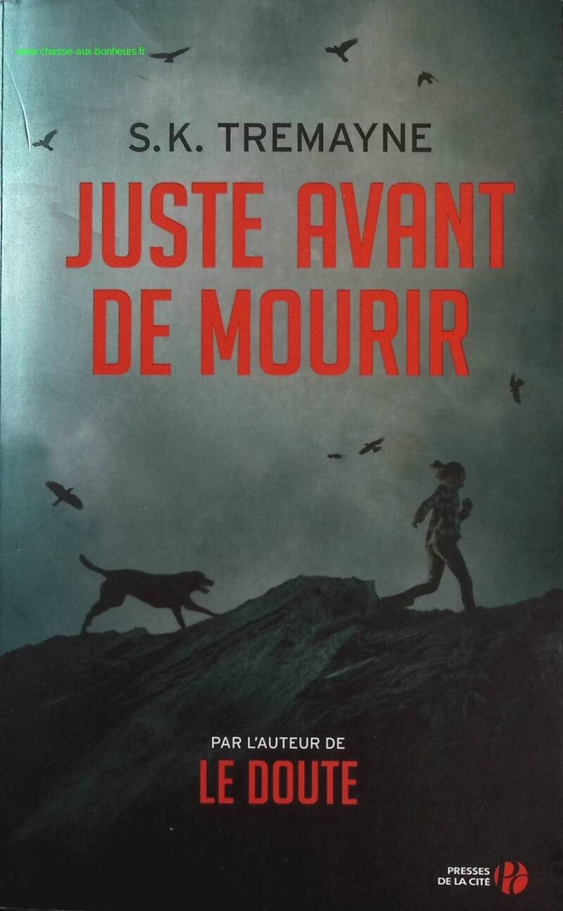 Just Before Dying - SK Tremayne - Book