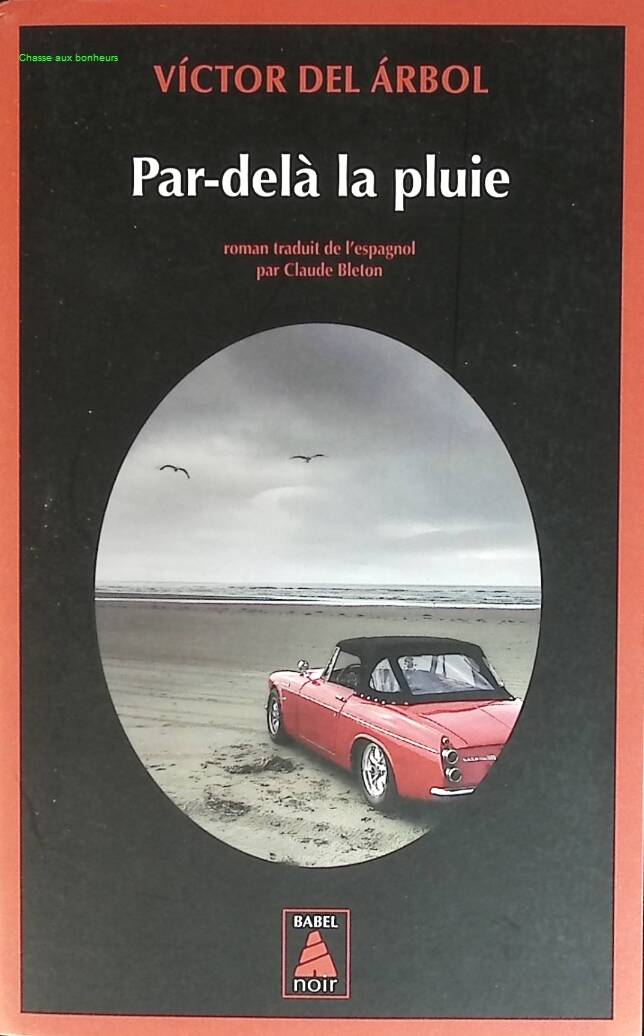 Beyond the Rain - Victor Del Arbol - book