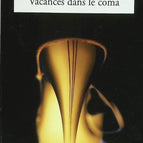 Ferien im Koma - Frédéric Beigbeder - 2005 - Buch