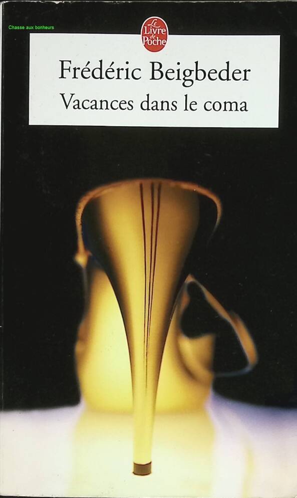 Ferien im Koma - Frédéric Beigbeder - 2005 - Buch