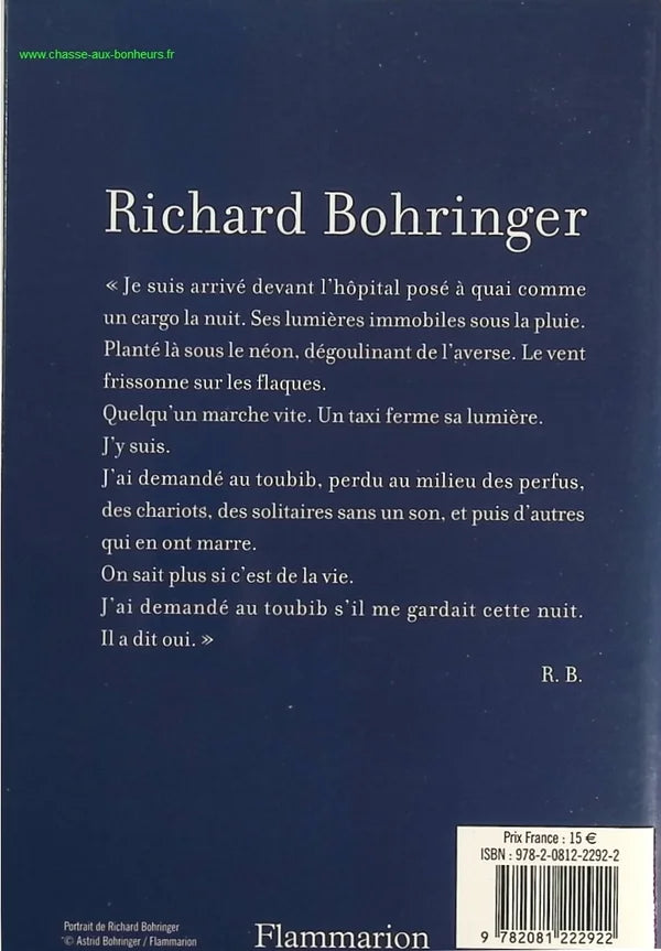 Don't Hang Around in the Rain - Richard Bohringer - Book