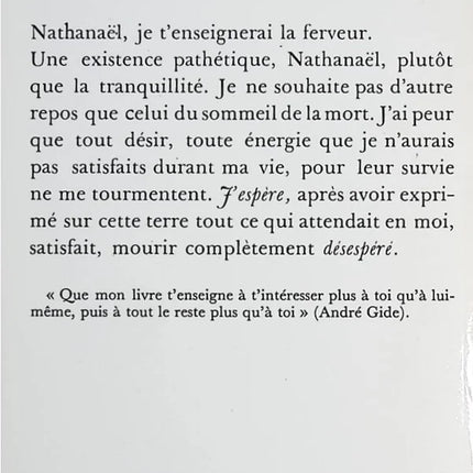 Irdische Lebensmittel - André Gide - Buch