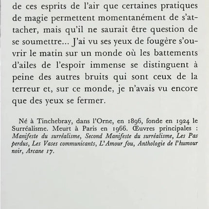 Nadja – André Breton : roman surréaliste et autobiographique - Livre