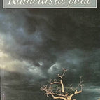 Rumeurs de pluie - André Brink - livre