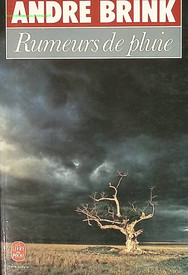 Regengerüchte - André Brink - Buch