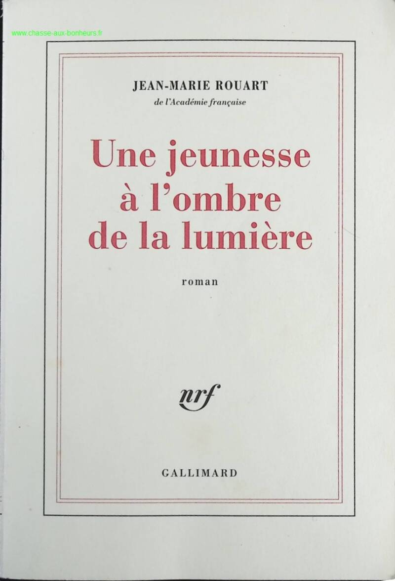 A Youth in the Shadow of the Light - Jean-Marie Rouart - Book
