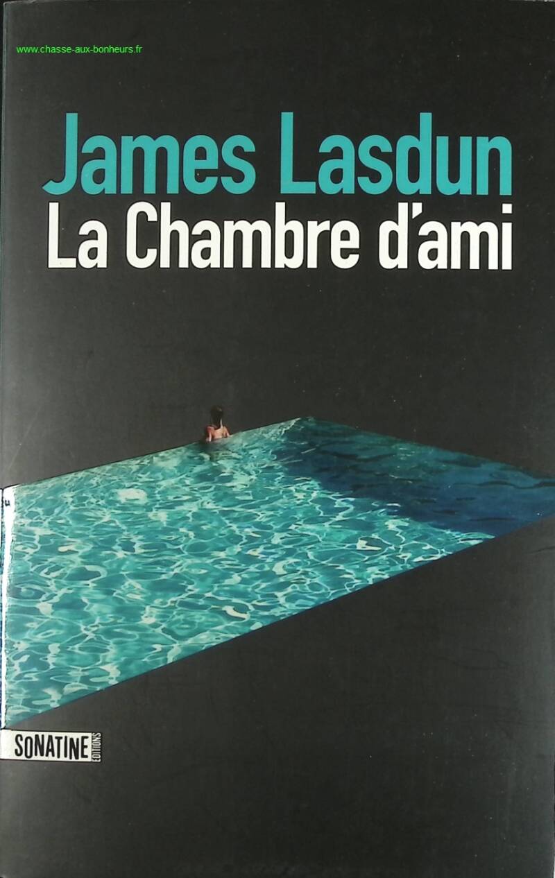 The Guest Room - James Lasdun - book