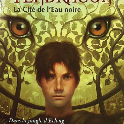 La Cité de l'Eau noire - D-J MacHale - Livre