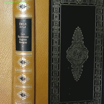 Son excellence Eugène Rougon Tome 1 - Emile Zola - livre