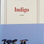 Indigo - Catherine Cusset - Buch