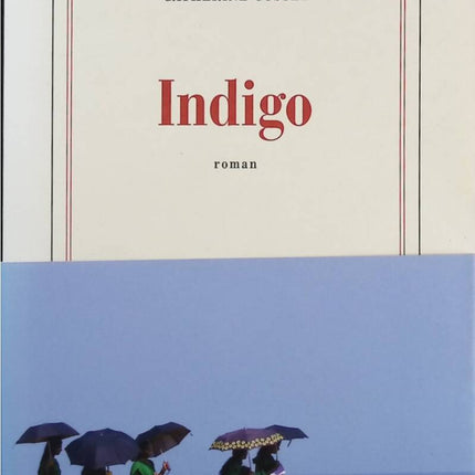 Indigo - Catherine Cusset - Buch