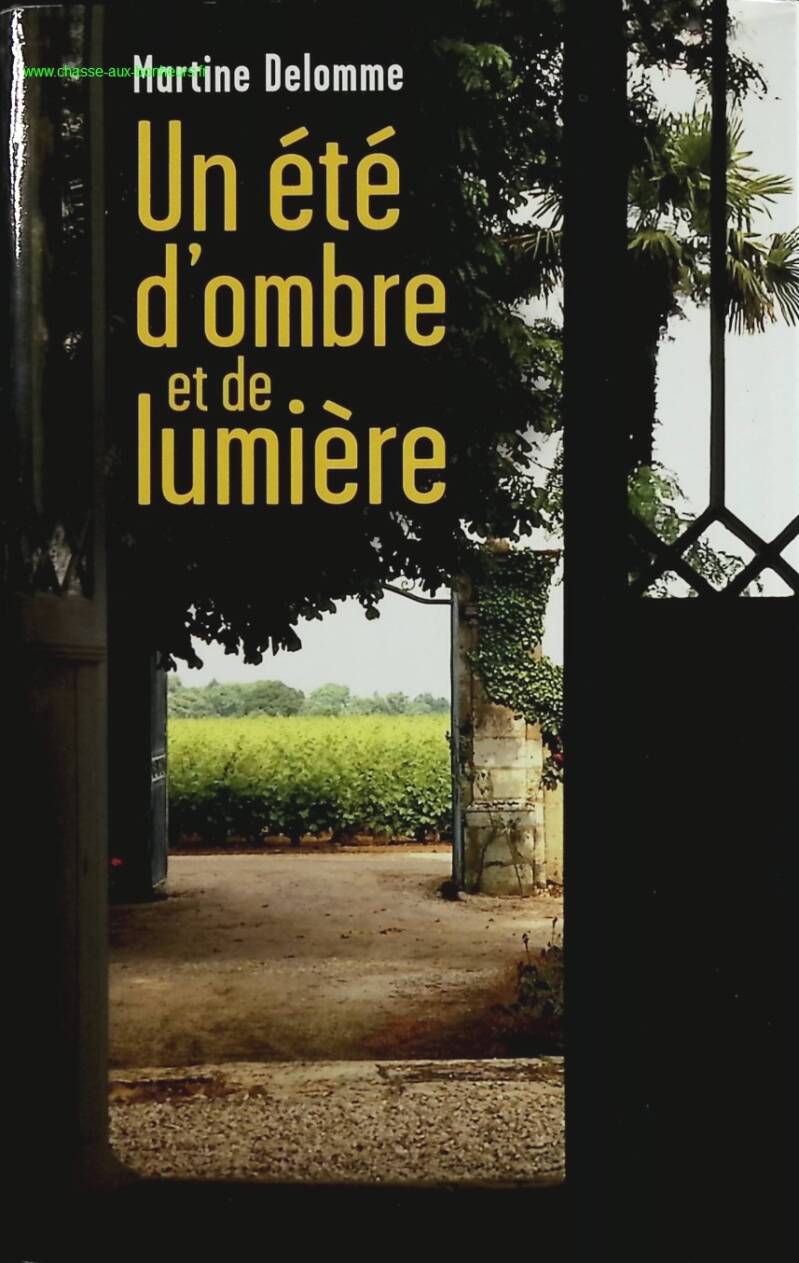 A Summer of Shadow and Light - Delomme Martine - book