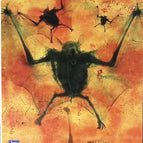 Dracula - Bram Stoker, - 2001 - Buch