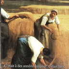 Earth-Shrew - Martine-Marie Muller - Buch