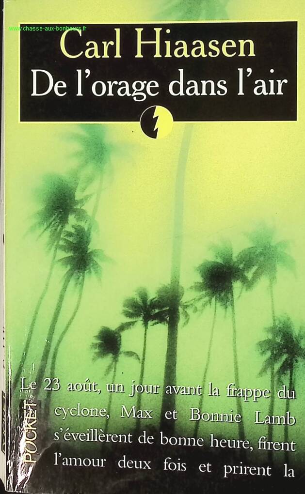 A Storm in the Air - Carl Hiaasen - book