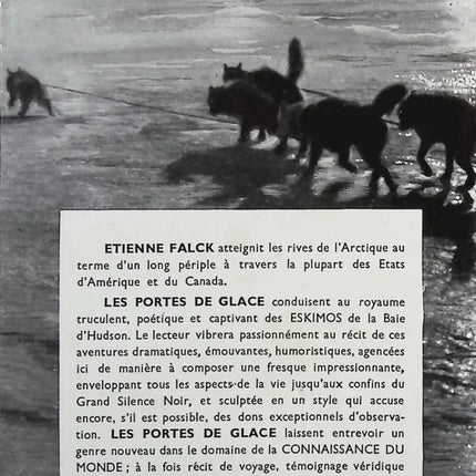 Les portes de glace - Etienne Falck - Livre