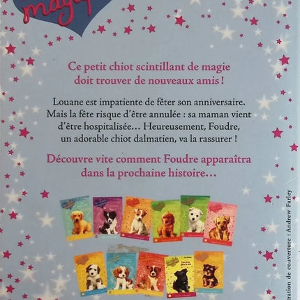 Magical Puppies Volume 5 - A Magical Birthday - Sue Bentley, Angela Swan - book
