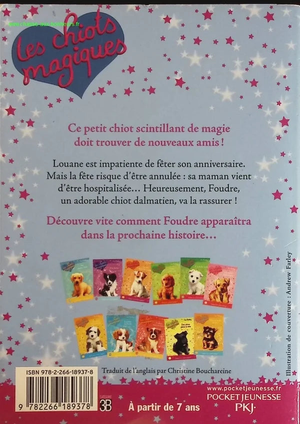 Magical Puppies Volume 5 - A Magical Birthday - Sue Bentley, Angela Swan - book