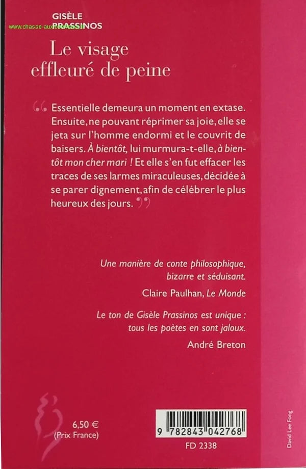 The Face Grazed by Pain - Gisèle Prassinos - book