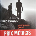 Eine Frau auf der Flucht vor der Anzeige - David Grossman - Buch