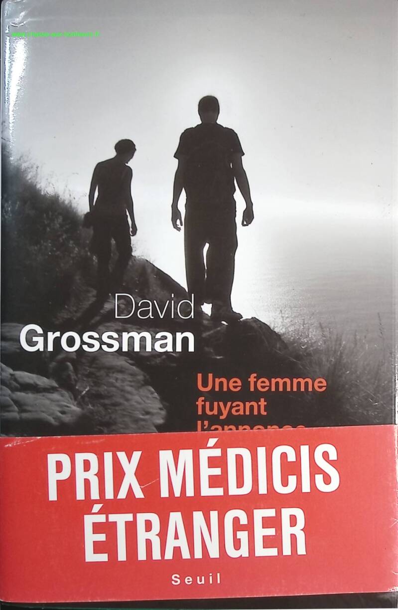 A Woman Fleeing the Ad - David Grossman - Book