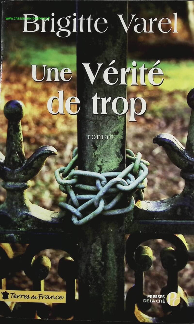 Eine Wahrheit zu viel - Brigitte Varel - Buch
