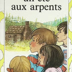 A Summer in the Acres - Wildsmitch Alan - book