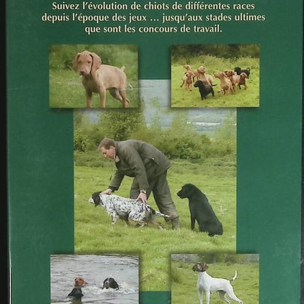 Vom Welpen zum Champion - Jagd aus der Ferne - DVD