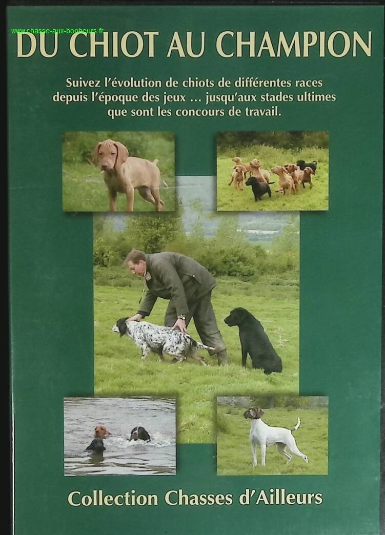 From Puppy to Champion - Hunting from Away - DVD