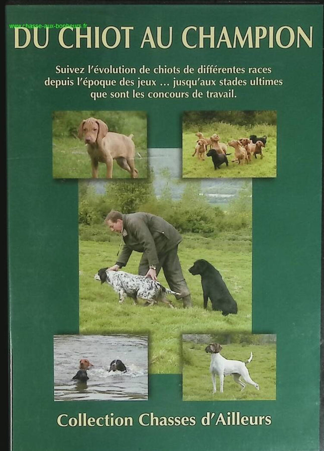 Vom Welpen zum Champion - Jagd aus der Ferne - DVD