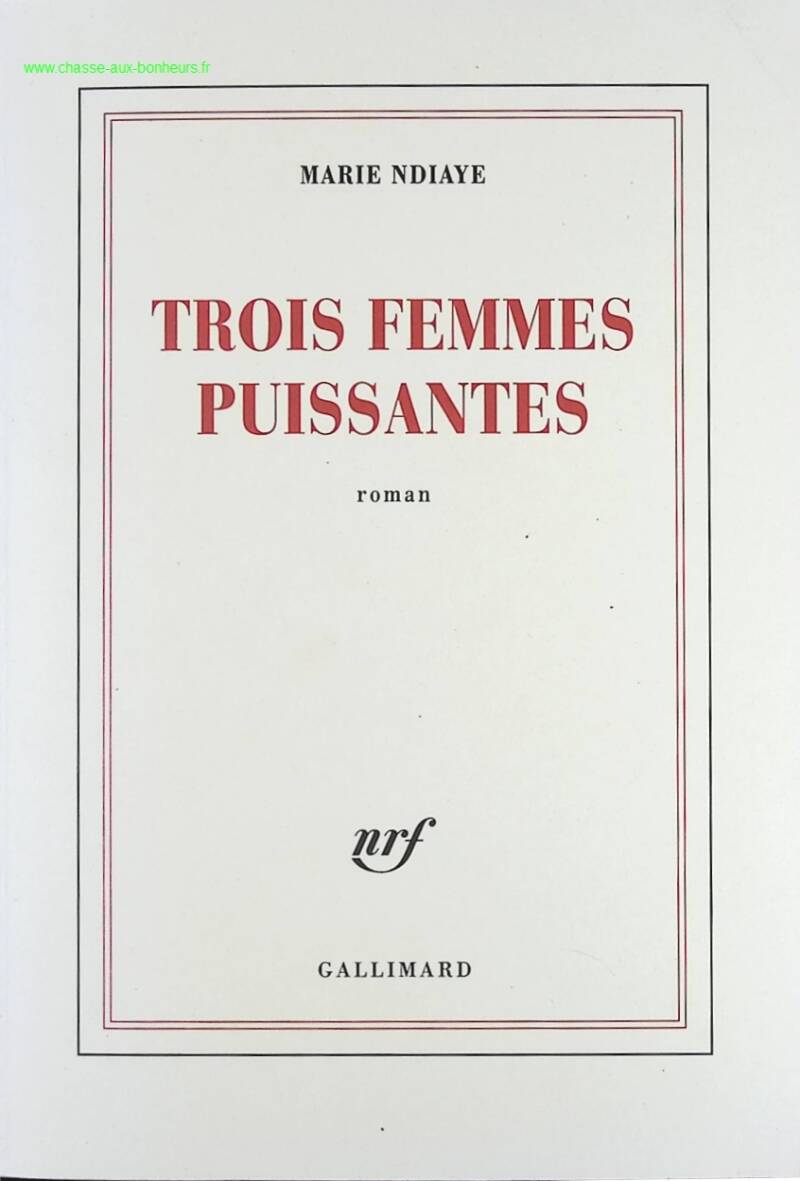 Three Powerful Women - Marie NDiaye - book