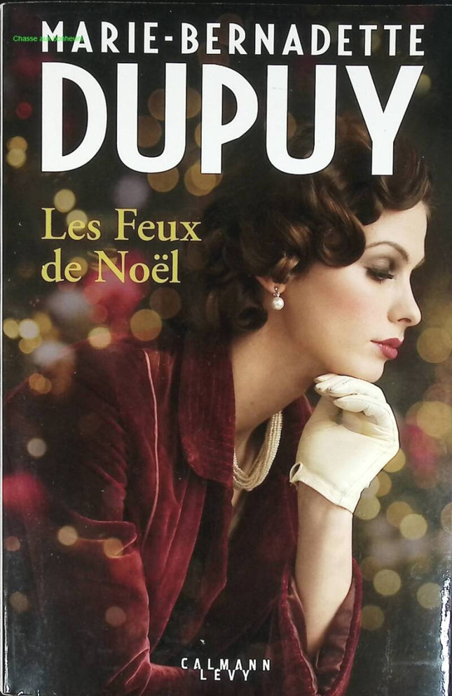 Les feux de noël - Marie-Bernadette Dupuy - livre