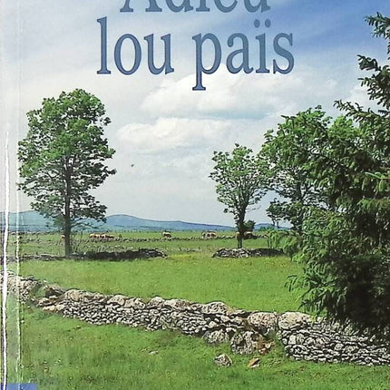 Abschied von deinem Land - Micheline Boussuge - Buch