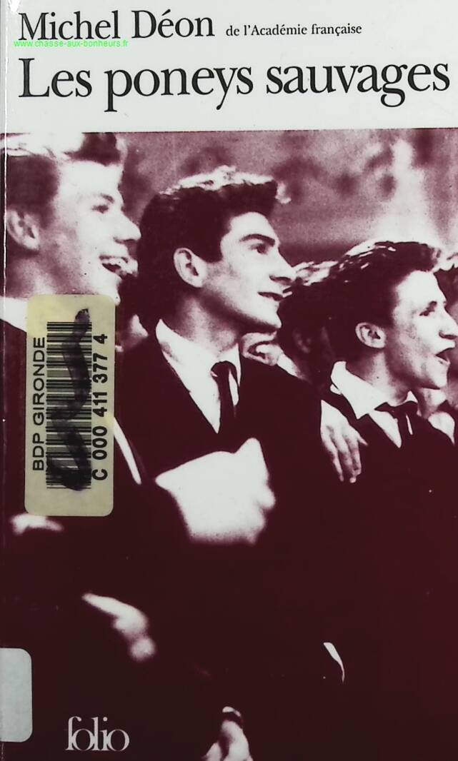 The Wild Ponies - Michel Déon - book