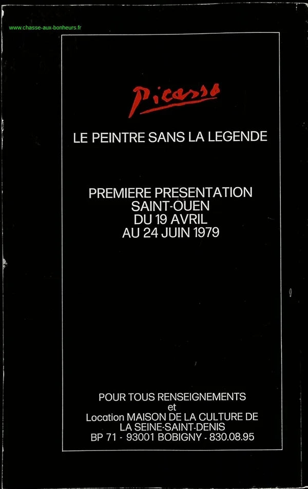 Picasso - History of a Search - Book