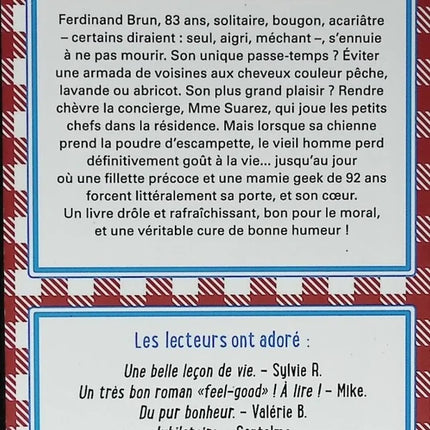 Oma in den Brennnesseln – Aurélie Valognes – 2017 – Buch
