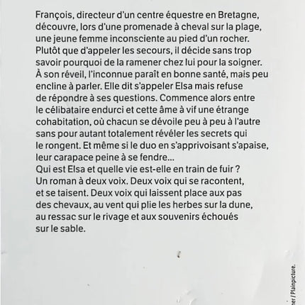 Die Delikatesse des Hummers - Laure Manel - Buch