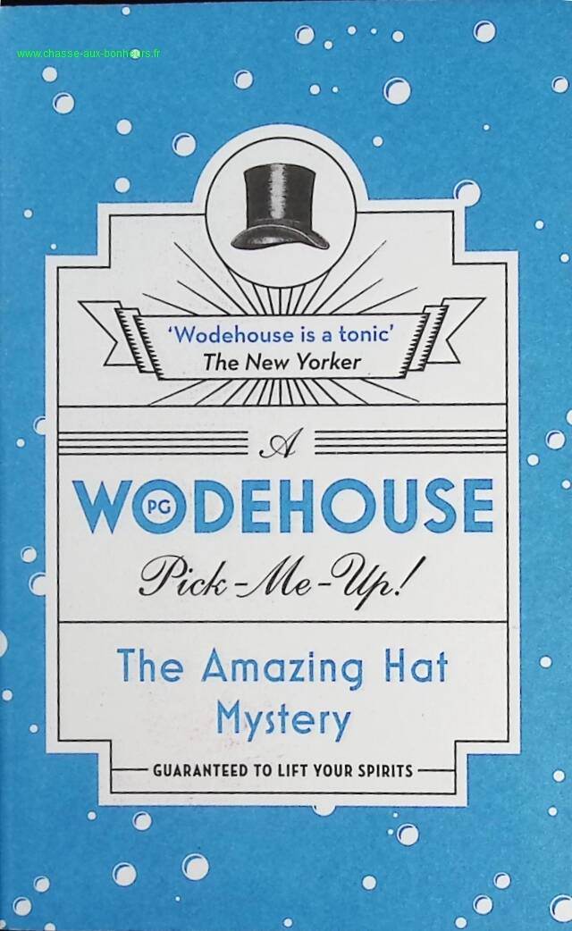 The Amazing Hat Mystery – PG Wodehouse – englisches Buch