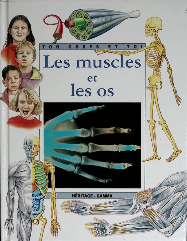 Les muscles et les os - Ton corps et toi - Jane Saunderson - 1992 - livre