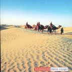 Tunisie - Guides de voyage Ulysse - livre