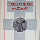 Wie ein Netzwerk stirbt - Rémy - Buch
