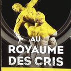 Au royaume des cris - Mathieu Lecerf - livre