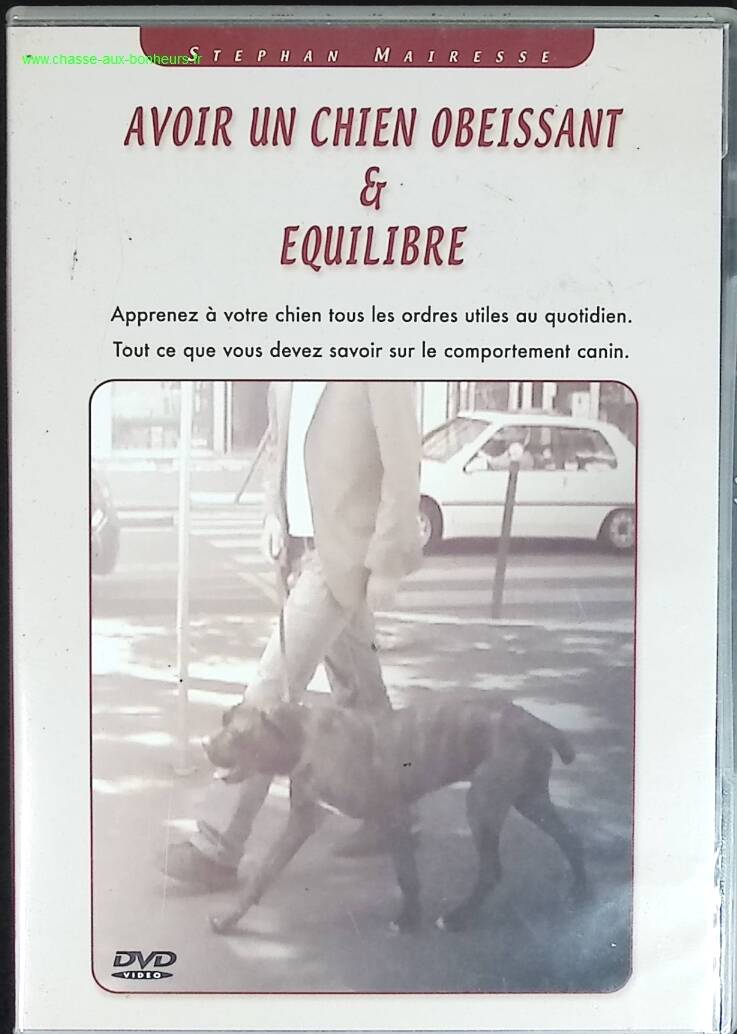 Having an obedient and balanced dog - Stephan Mairesse - DVD