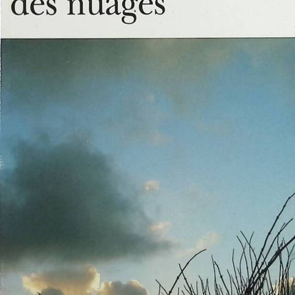 La théorie des nuages - Stéphane Audeguy - livre