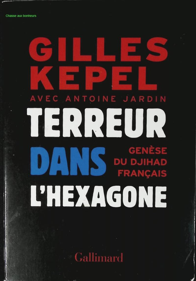 Terreur dans l'Hexagone - Genèse du djihad français - Gilles Kepel - livre