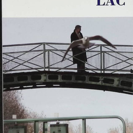 Lac - Jean Echenoz - livre