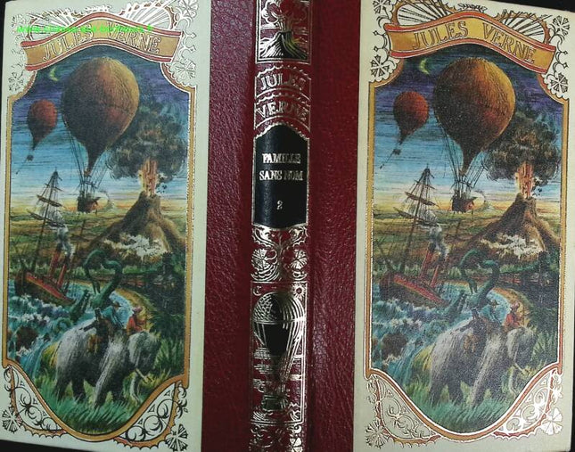 Familie ohne Namen - Jules Verne - 2 Bände - Buch
